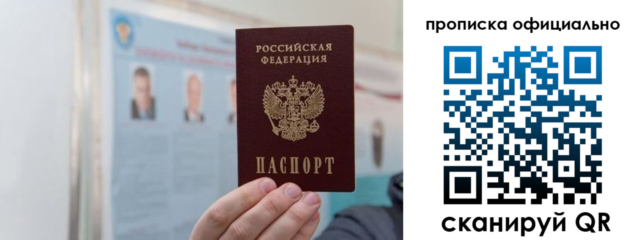 прописка гарантия в Плавске